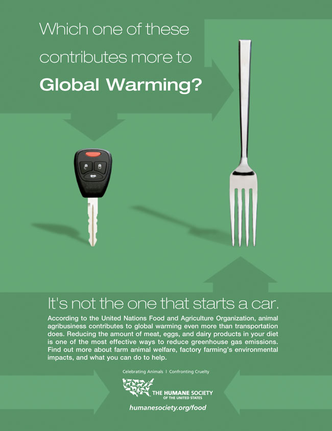 Which of these contributes more to Global Warming?