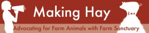 Making Hay: Advocating for Farm Animals with Farm Sanctuary